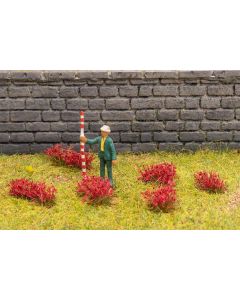 Blütenbüschel, rot