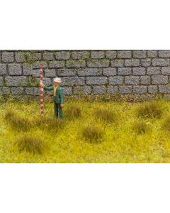 Grasbüschel, trockenes Gras