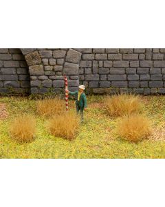 Grosse Grasbüschel, beige