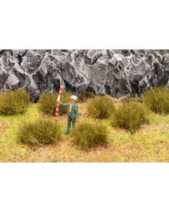 Grosse Grasbüschel, trockenes