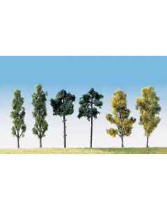 6 Bäume, sortiert