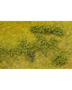 Blätterfoliage, grün