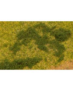 Blätterfoliage, dunkelgrün