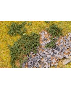 Blätterfoliage, kieferngrün