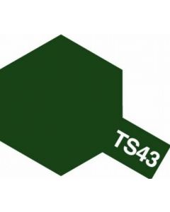 Spray TS-43 gruen