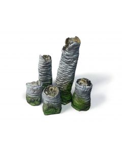 Broken Palm Trunks Scenery