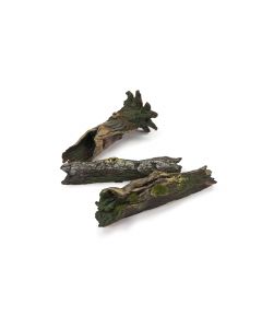 Fallen Logs Scenery