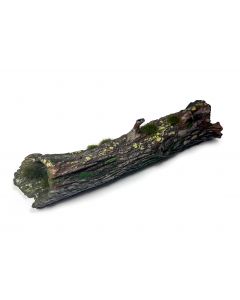 Large Fallen Trunk Scenery
