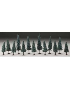 4-6 Rm Real Blue Spruce 13/Pk