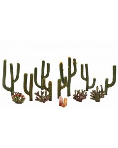 1/2-2 1/2 Cactus Plants 13/Pk