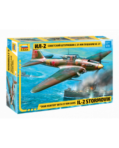 Il-2 Stormovik Tank hunter with 37-mm guns