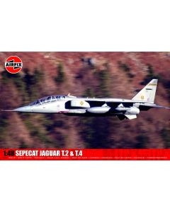 SEPECAT Jaguar T.2 &amp; T.4