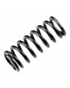 VALVE SPRING FS(alpha)155