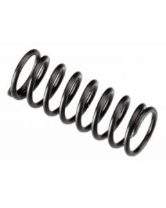 VALVE SPRING FT160.IL300