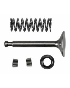 INTAKE VALVE ASSEMBLY FS120S3.SE
