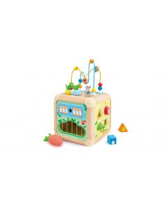 Carrot Activity Cube