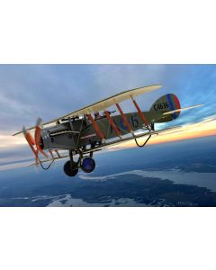 Bristol F-2B Fighter C4636 - DEVIL-IN-THE-DUSK