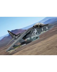 McDonnell Douglas AV-8B+Harrier II-165001/01 - VMA-214 Black Sheep