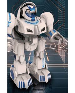 RC Roboter T-Giant