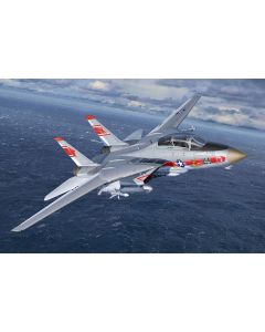 Model Set Grumman F-14A Tomcat