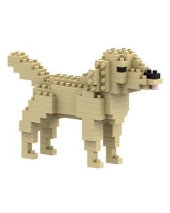 BRIXIES Golden Retriever