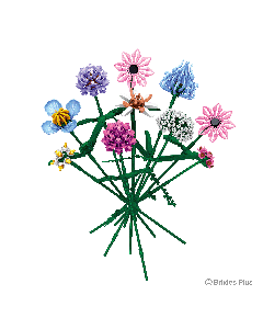 BRIXIES Plus Blumenstrauss Romantic Dream