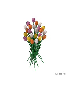 BRIXIES Plus Blumenstrauss Tulpen