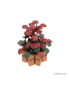 BRIXIES Plus Mini Blume Autumn flower